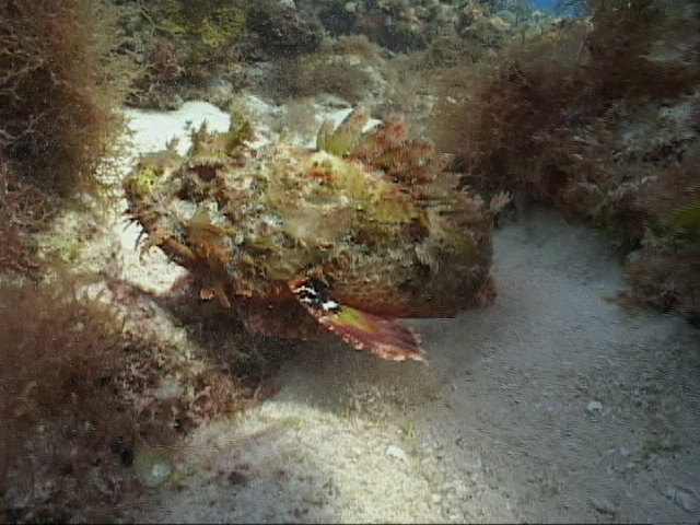 DSC00541.JPG